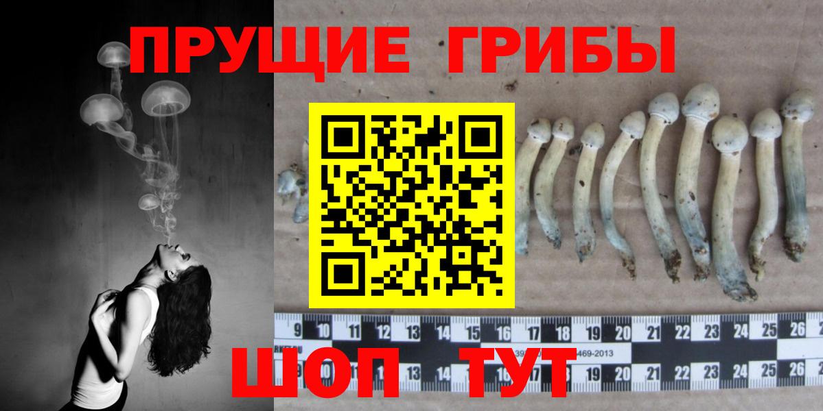 Галлюциногенные грибы мицелий Родники